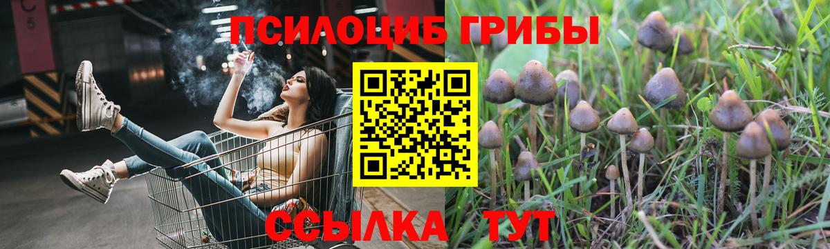 Псилоцибиновые грибы GOLDEN TEACHER Сатка
