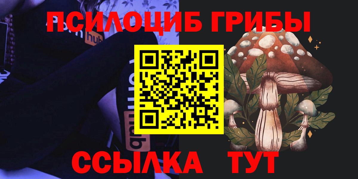 как найти наркотики  Вход с VPN  Сатка  Псилоцибиновые грибы Cubensis 